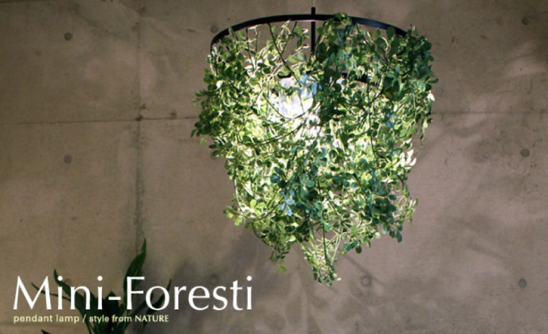 木漏れ日につつまれるとき【Mini-Foresti】 | リノスタ