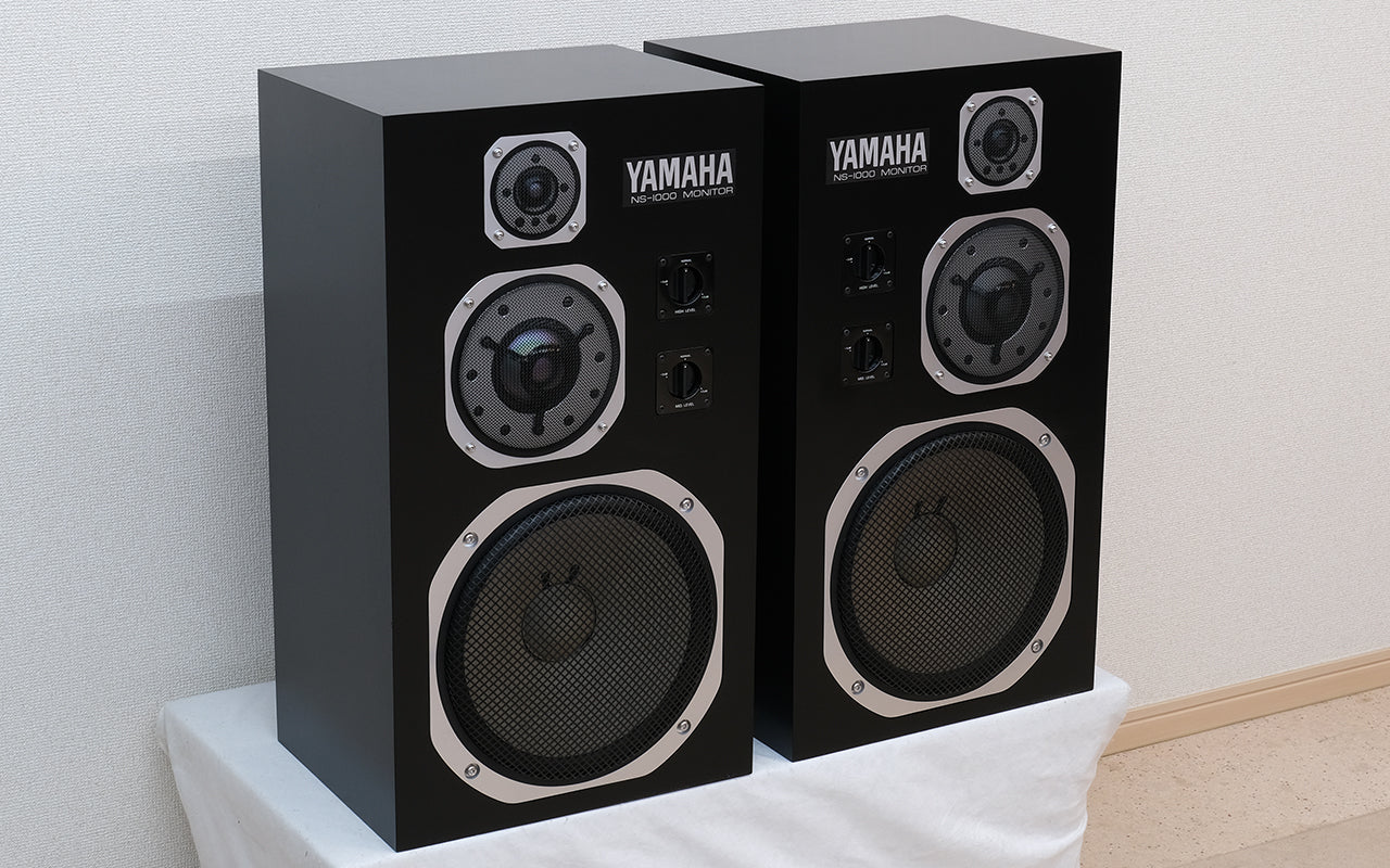 all products – ReNS1000M