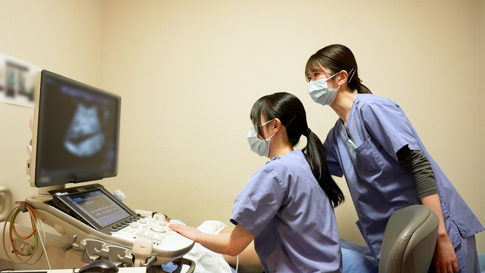 入職4年目の「臨床検査技師(超音波検査室)」にインタビューしました