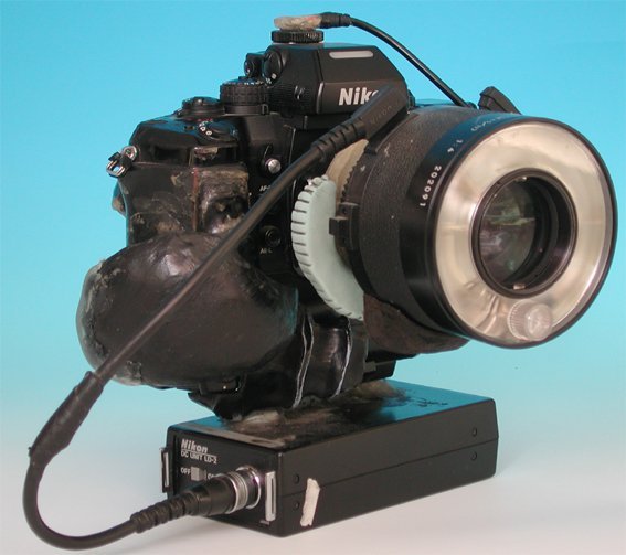 Nikonカメラレンズ 147 【公式通販】