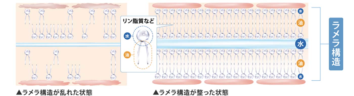 ラメラボ モイスチャージェル エンリッチ通販|麗ビューティー