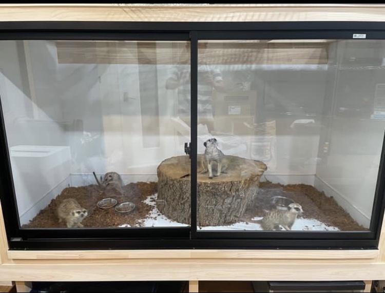 爬虫類、昆虫、小動物のオーダーメイドケージ・小屋制作なら【REPBASE】