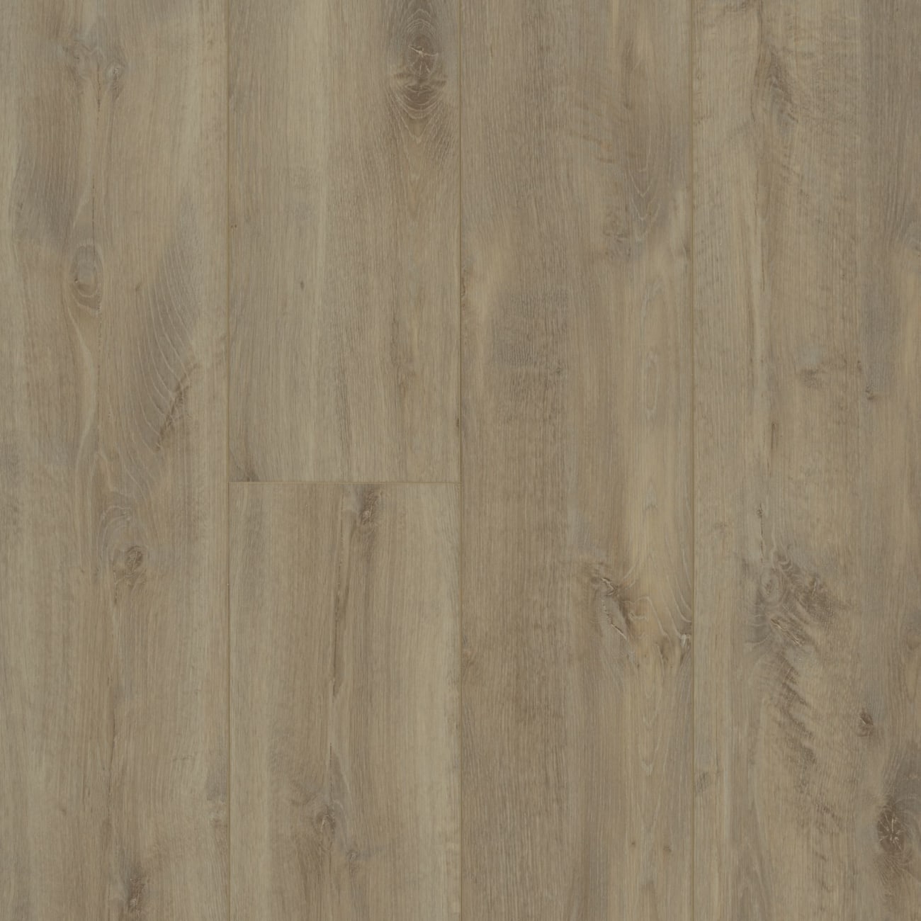 Shaw - Allegiance Plus Accent - Riverside Oak from Znet Flooring