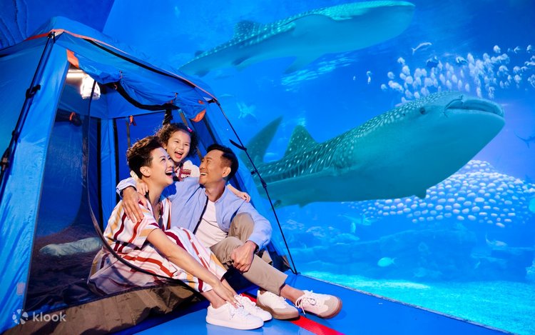 珠海長隆海洋王国 宿泊パッケージ | Klook