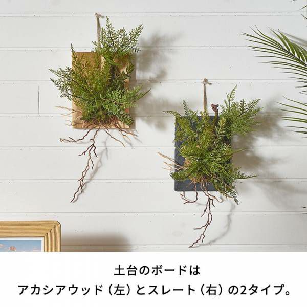 フェイクグリーン ウォールハンギング ファーン シダ アカシア 木製