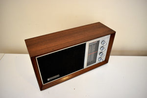 Modern Sleek Design Wood 1968 Panasonic Model RE-7257 Solid State