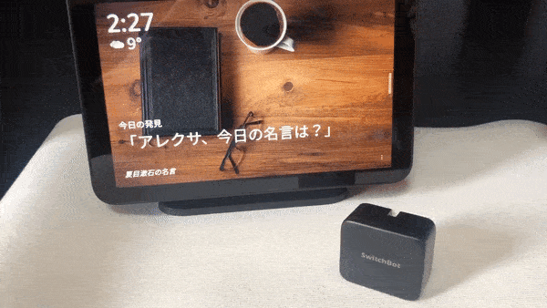 alexa Echo ブラック+Switch Botセット alexa Echo ブラック+Switch