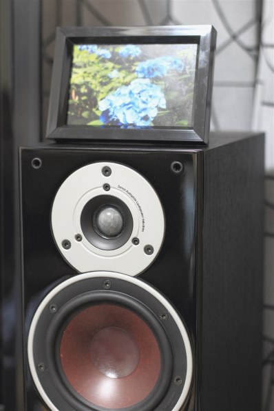 DALI ZENSOR5 [ライトウォールナット ペア]投稿画像・動画 - 価格.com