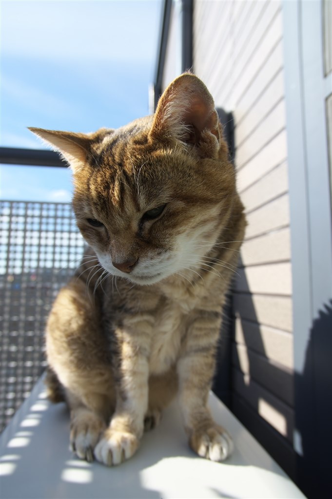 明るい広角といえばこれ』 ペンタックス SMC PENTAX-DA 14mm F2.8 ED