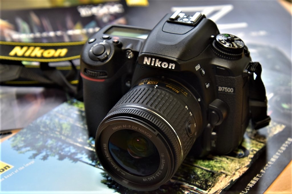 エントリーモデルのカメラより扱いやすい』 ニコン D7500 ボディ 上杉