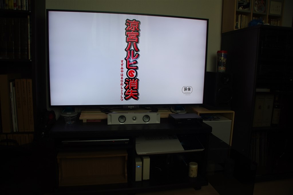 自分の部屋用に購入しました。＜新築で家1軒分のお買い物＞』 SONY