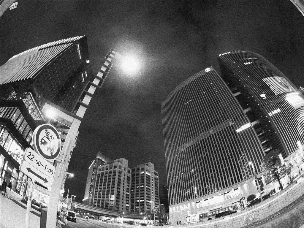 魚眼レンズの世界への入口』 パナソニック LUMIX G FISHEYE 8mm/F3.5 H