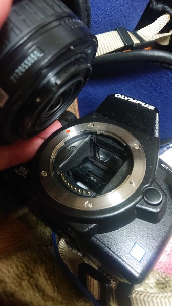 オリンパス E-410 ボディ投稿画像・動画 - 価格.com