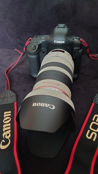 CANON EF35-350mm F3.5-5.6L USM レビュー評価・評判 - 価格.com