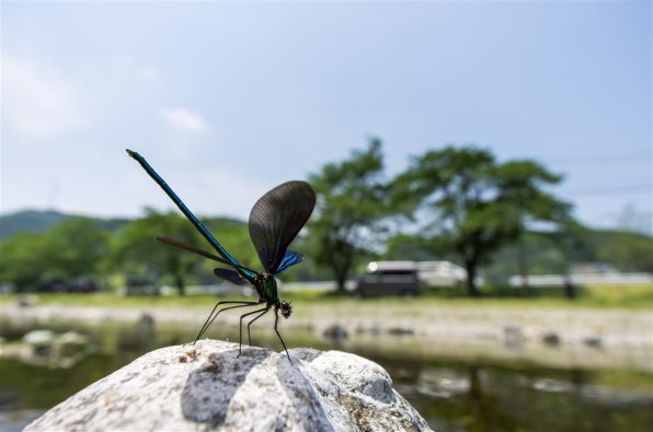 ペンタックス SMC PENTAX-DA 14mm F2.8 ED(IF) 価格比較 - 価格.com