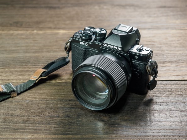 オリンパス OM-D E-M10 Mark II ボディ [ブラック] レビュー評価・評判