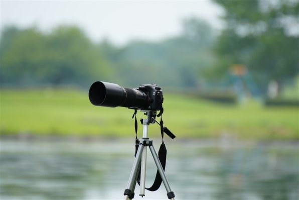 TAMRON SP 70-300mm F/4-5.6 Di USD (Model A005) [ソニー用] 価格比較