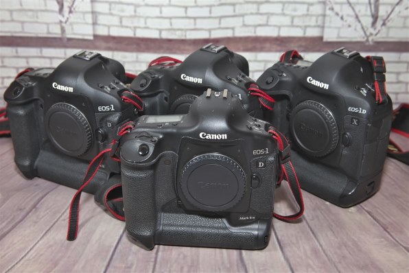 シャッター回数33万回？！』 CANON EOS-1D Mark II N ボディ の