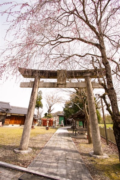 TAMRON SP AF 10-24mm F/3.5-4.5 Di II LD Aspherical [IF] (Model