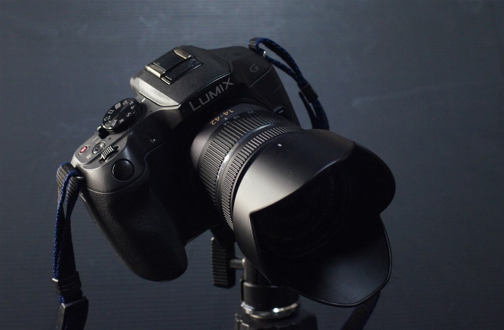 SONYのネオ一眼っぽいとか言わないで（笑）』 パナソニック LUMIX DMC