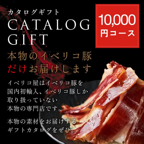 カタログ ギフト【Bコース】選べる グルメ ギフト 肉 食べ物 豪華 景品