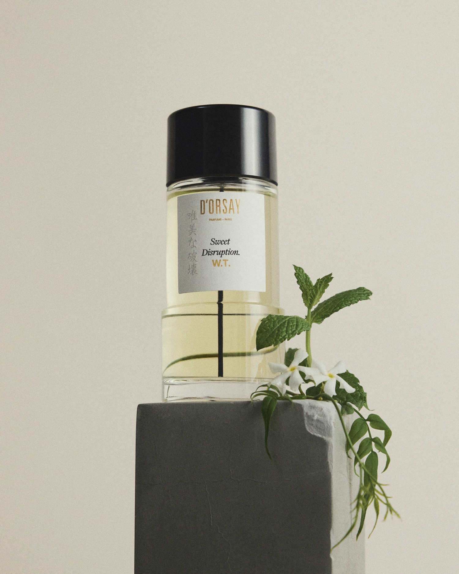 D'ORSAY（ドルセー）」、東京ブティック3周年記念の「唯美な破壊 W.T.