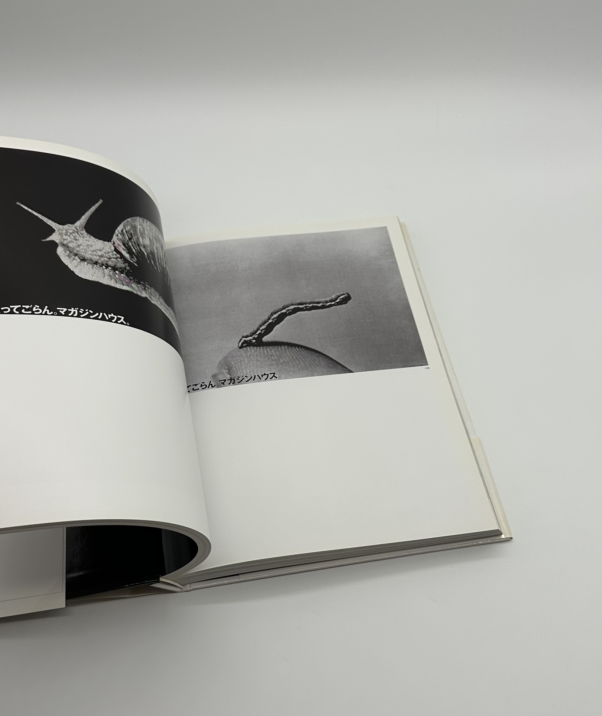 井上嗣也作品集 INOUE TSUGUYA GRAPHIC WORKS 1981-2007 - りーちあーと