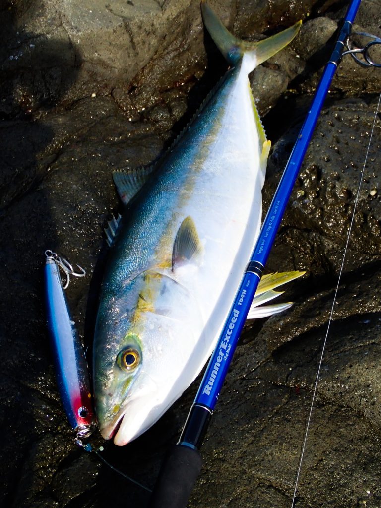 RunnerExcced 104H Nano PlugModel ヒラマサ・ロックショアゲーム