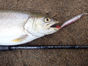 RealCrescent RC-81 レイクトラウト・レポート | リップルフィッシャー