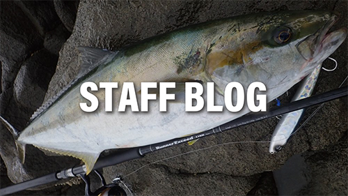 RunnerExceed 110H Nano Plug | リップルフィッシャーリップルフィッシャー