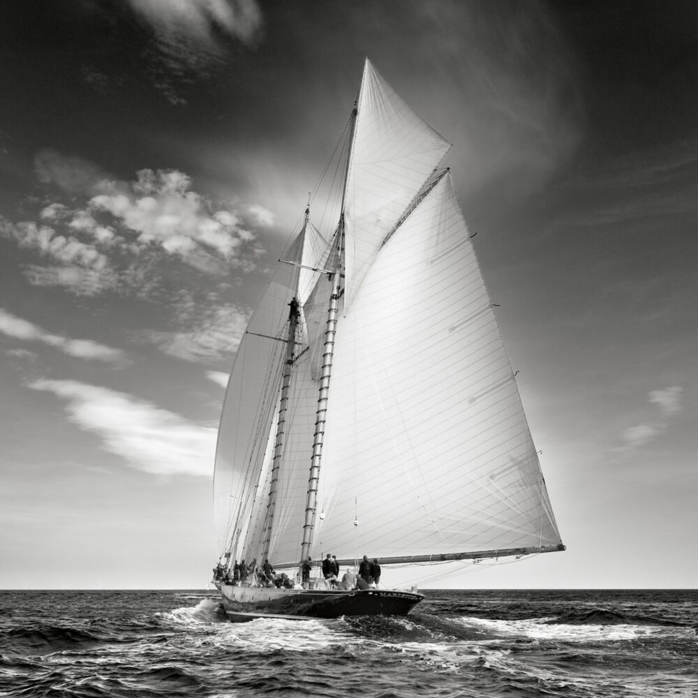 すべてのアート写真 - イエローコーナー公式オンラインショップ