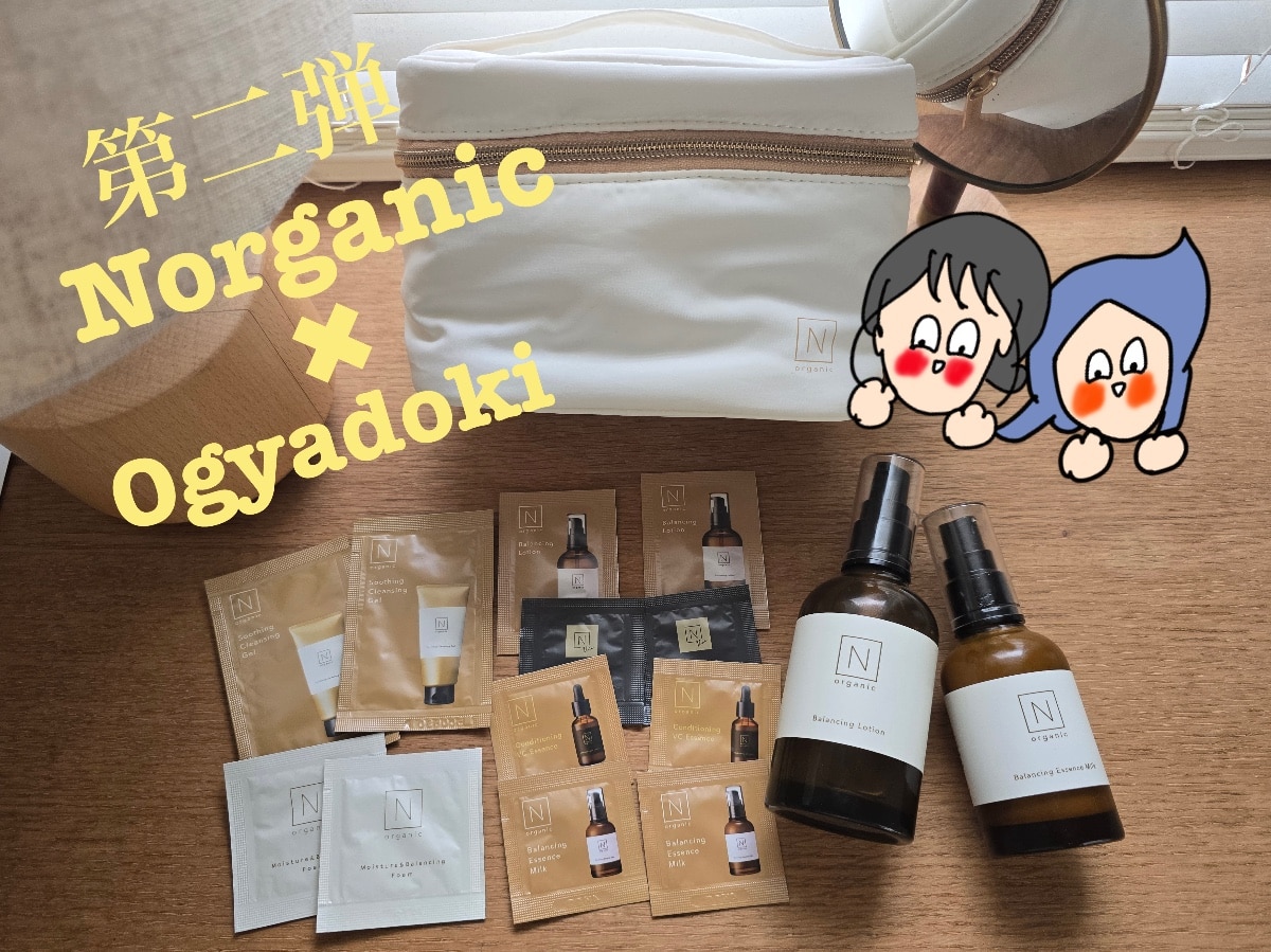 SALE期間P10倍／【オギャドキコラボ特別セット】N organic 夏の