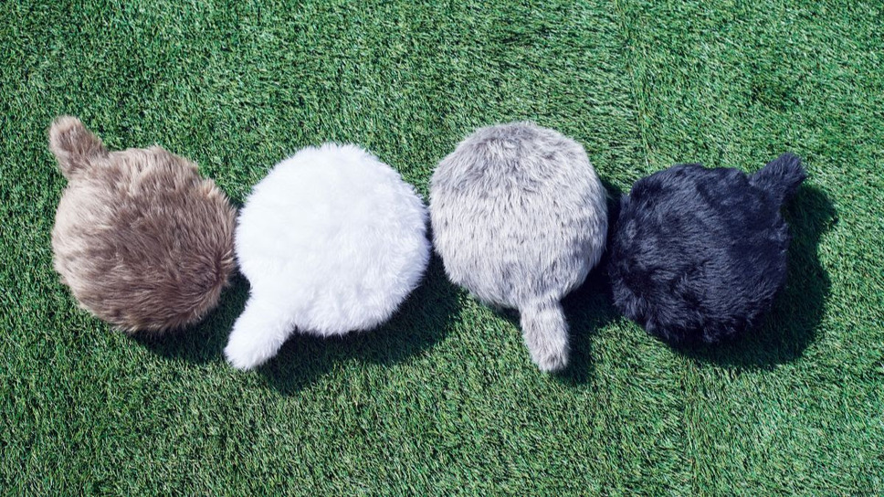 小動物みたいに「鼓動を感じる」小さいクーボ「Petit Qoobo」(プチ