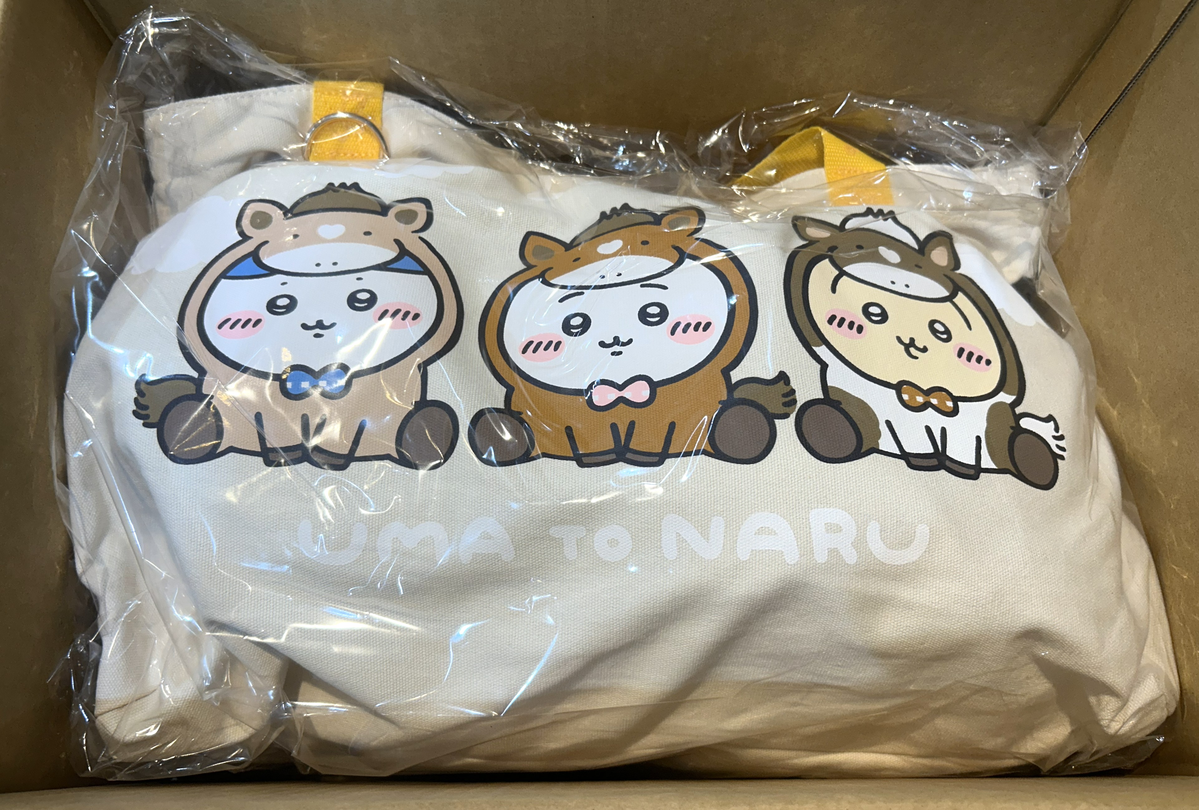 店頭販売の可能性あり】真夏に注文した『ちいかわ』福袋がようやく届