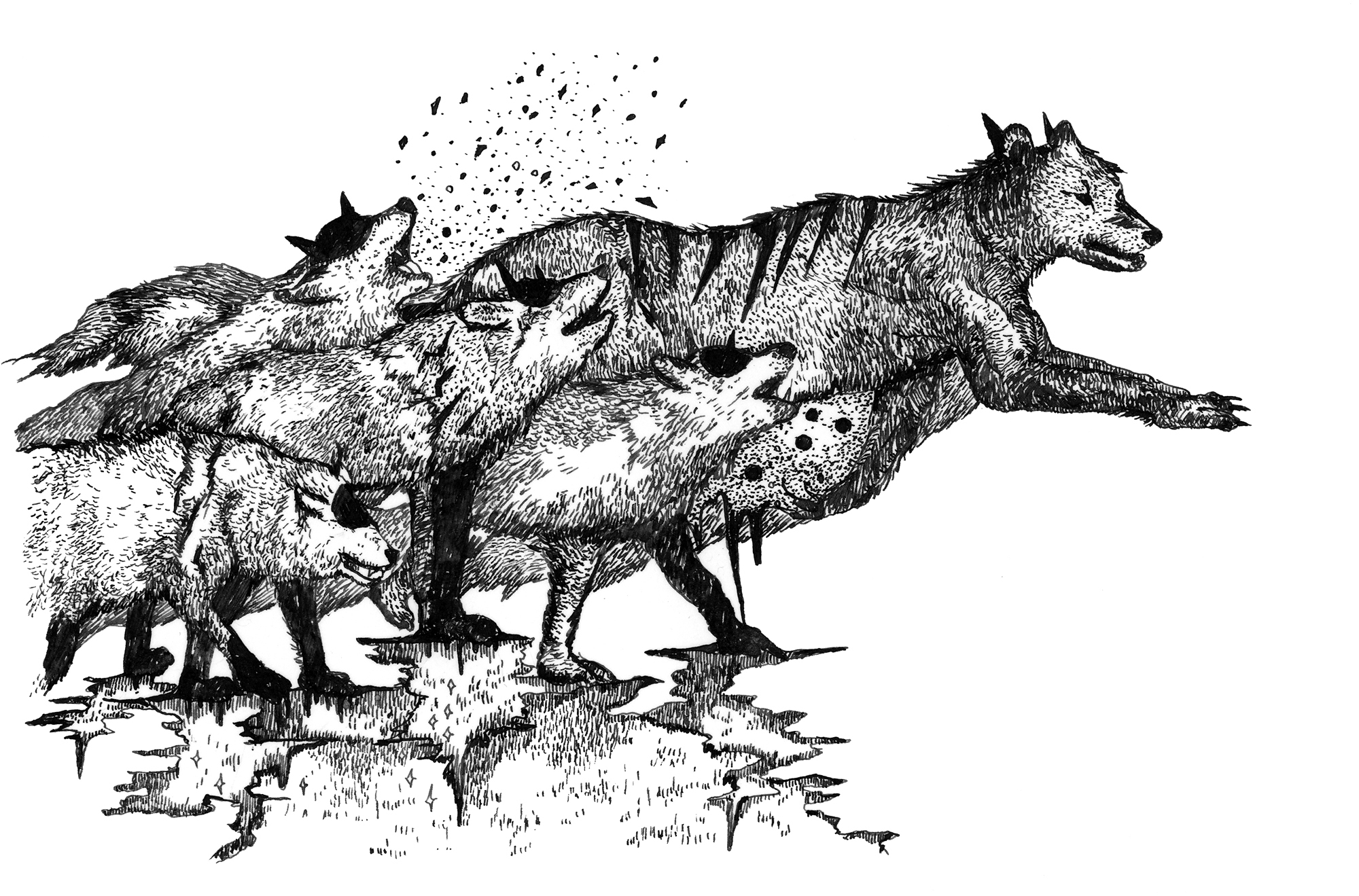 the cabs、1stミニ・アルバムを＜残響record＞からリリース (2011/02