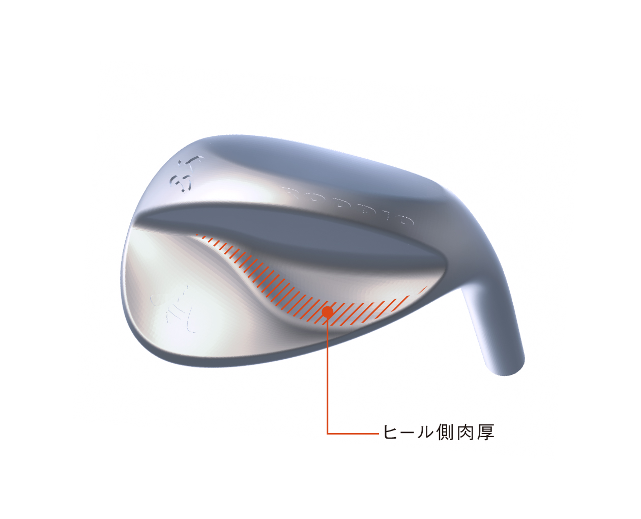 Roddio,ロッディオ | RODDIO