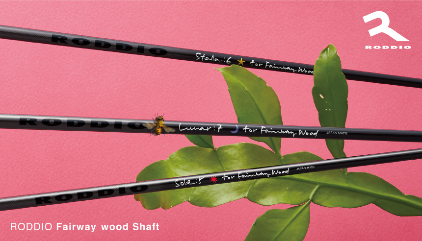 Roddio,ロッディオ | RODDIO