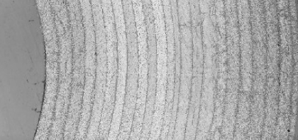 Roddio,ロッディオ | RODDIO