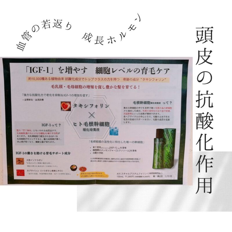 スキャルプステムフォリン – CLICQUOT（クリコグループ） 柏・流山