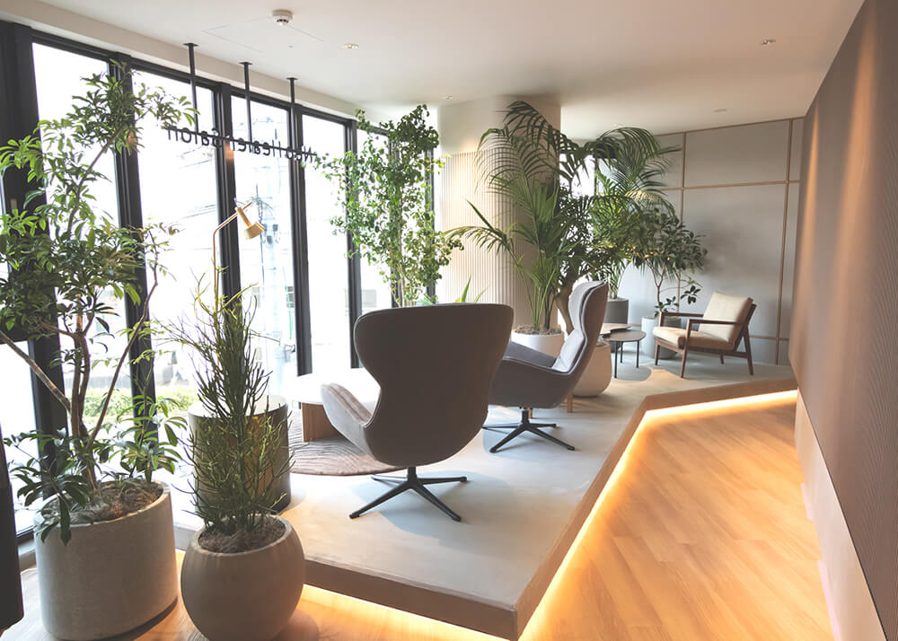 Neo Healer - ネオヒーラー