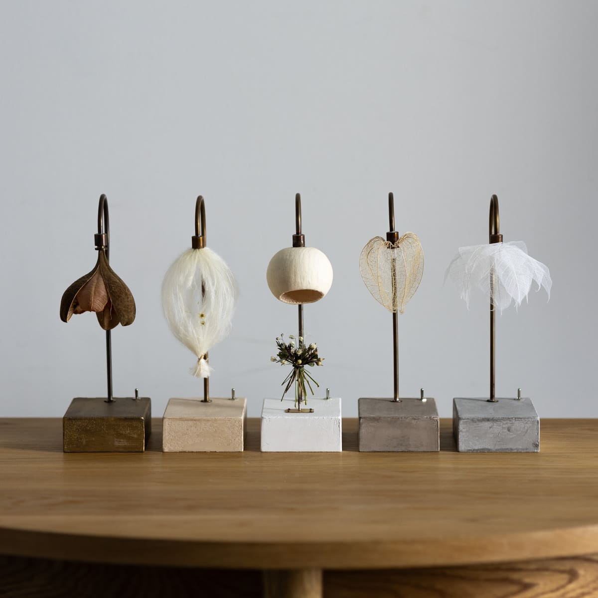 はいいろオオカミ＋花屋 西別府商店 森の小さな灯 | 石田ゆり子さんが