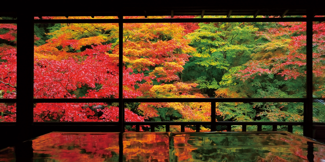 無量寿山光明寺 京都本院 瑠璃光院