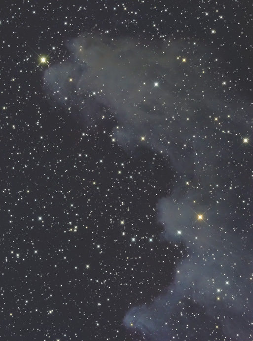 魔女の横顔星雲 | 天体写真の世界
