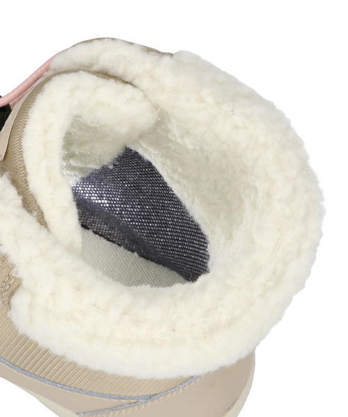 コロンビア産 キプリスモルフォ 99mm コロンビア産 キプリスモルフォ