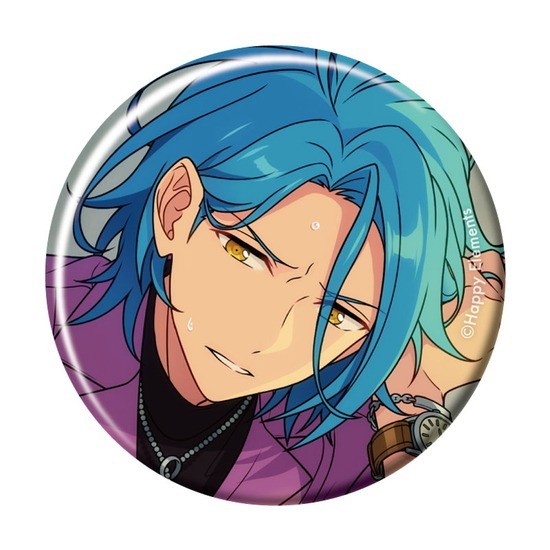 あんさんぶるスターズ あんスタ HiMERU フィーチャー 缶バッジ62点