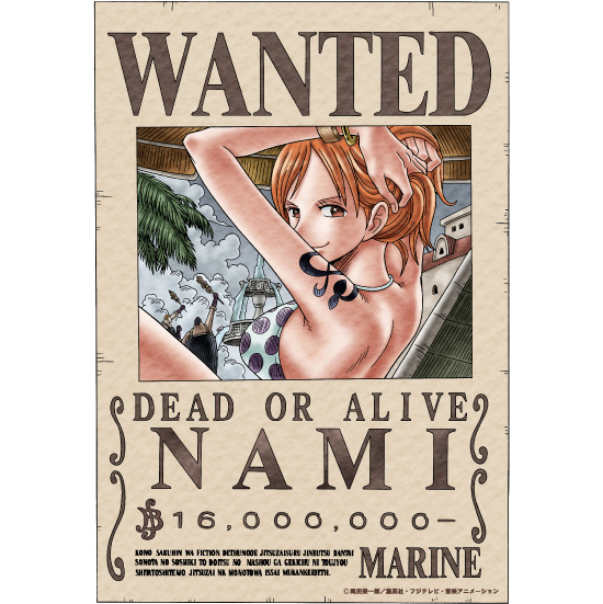 マグコレ ワンピース ナミ手配書｜ホビーの総合通販サイト ホビーストック