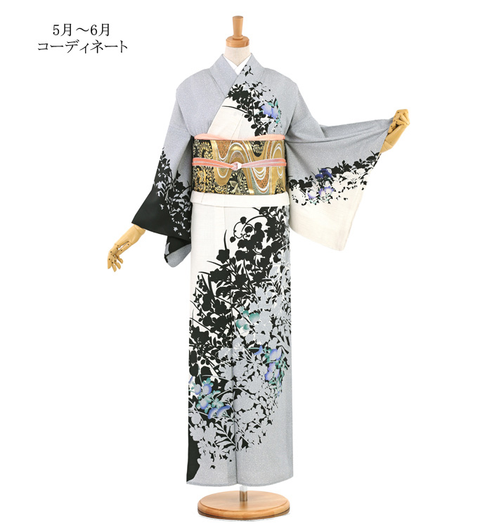 単衣訪問着 No.AC-3406-Mサイズのレンタル｜きもの365