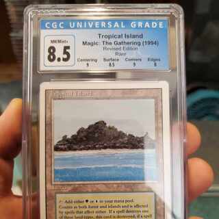 tropical island」の激安通販 | magi