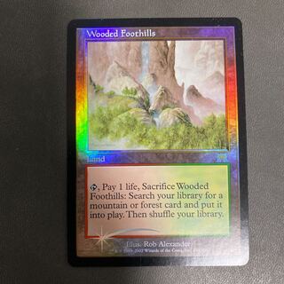 MTG 樹木茂る山麓 EXP 英語版 Foil MTG Foil 樹木茂る山麓/Wooded