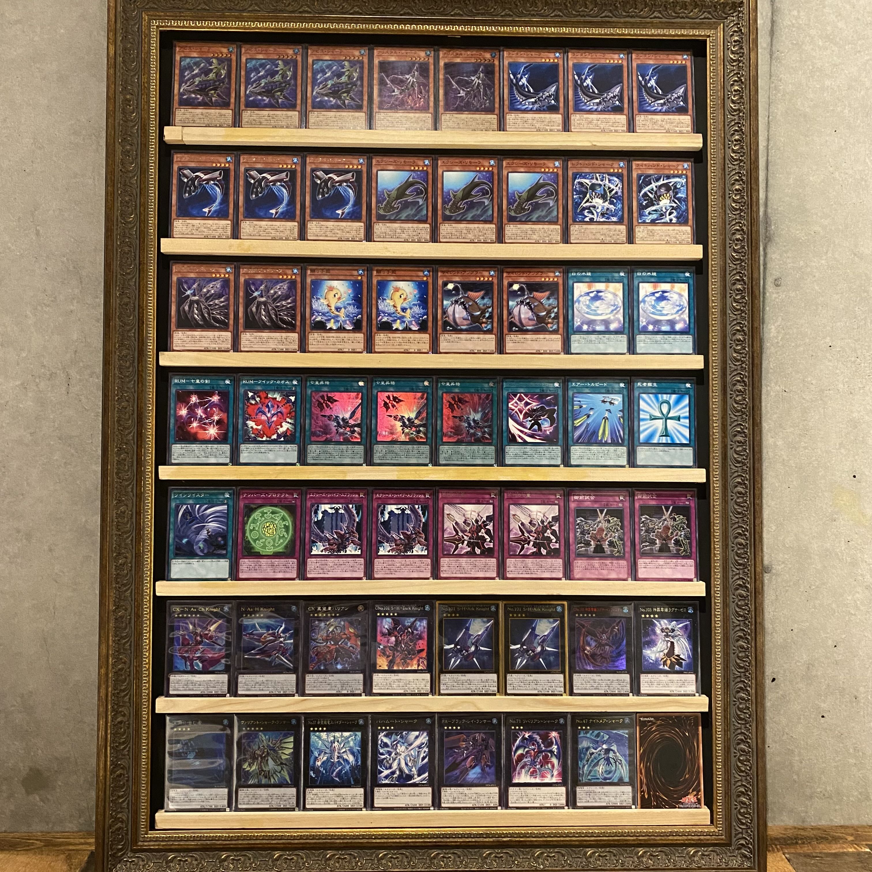 即日発送！【ナッシュシャーク】デッキ 遊戯王 神代凌牙 1枚の通販